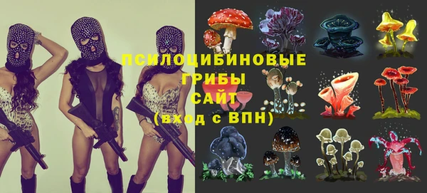 2c-b Богородск