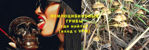 МДМА Богородицк